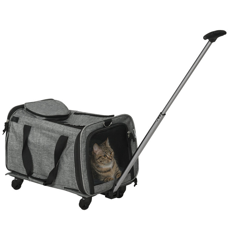 Used cat clearance carrier